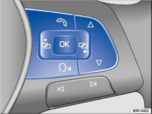 2015 VW Jetta Multi-Function Steering Wheel