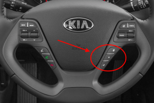 Steering Wheel Controls