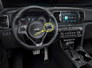 2017 Kia Sorento Steering Wheel Controls